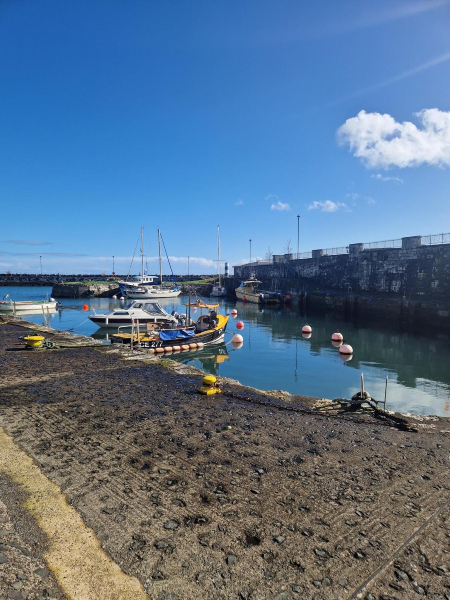 The Nest Carnlough Exterior foto